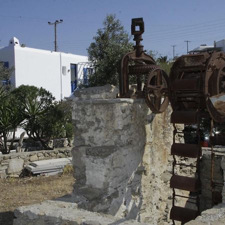 Vienoula'S Garden Hotel Mykonos Town Esterno foto