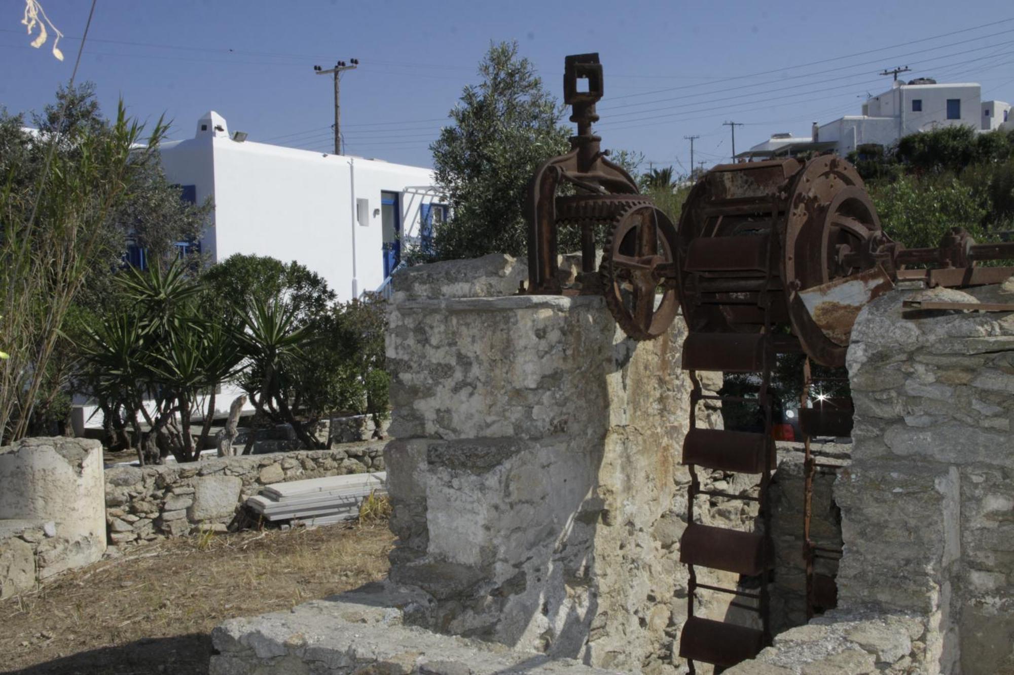 Vienoula'S Garden Hotel Mykonos Town Esterno foto