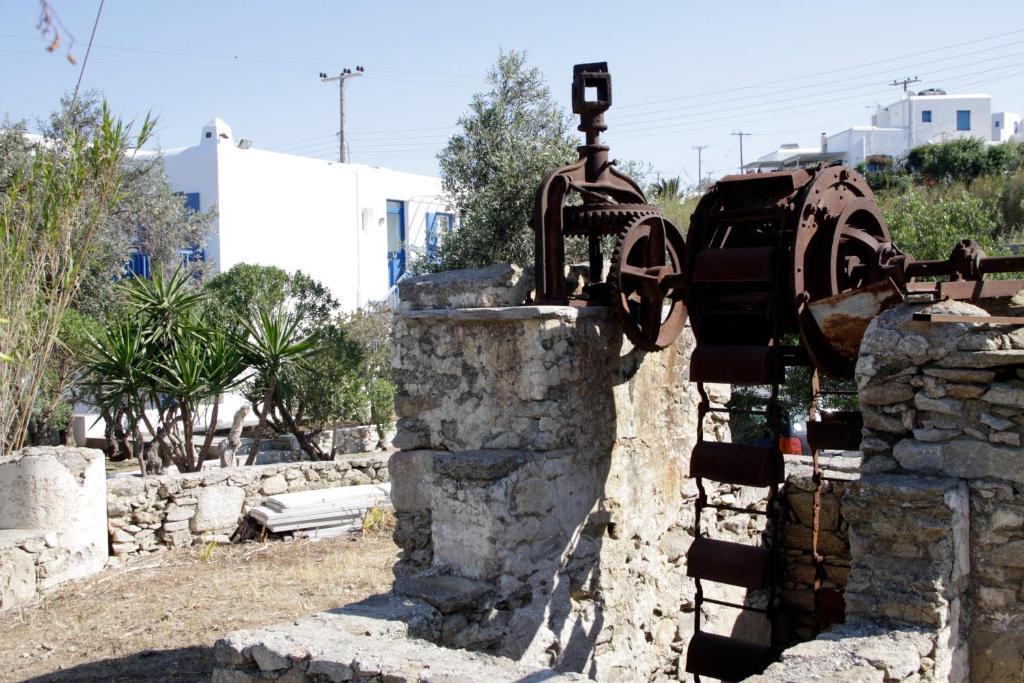 Vienoula'S Garden Hotel Mykonos Town Esterno foto